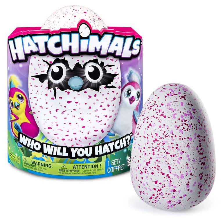 hatchimal fairy egg